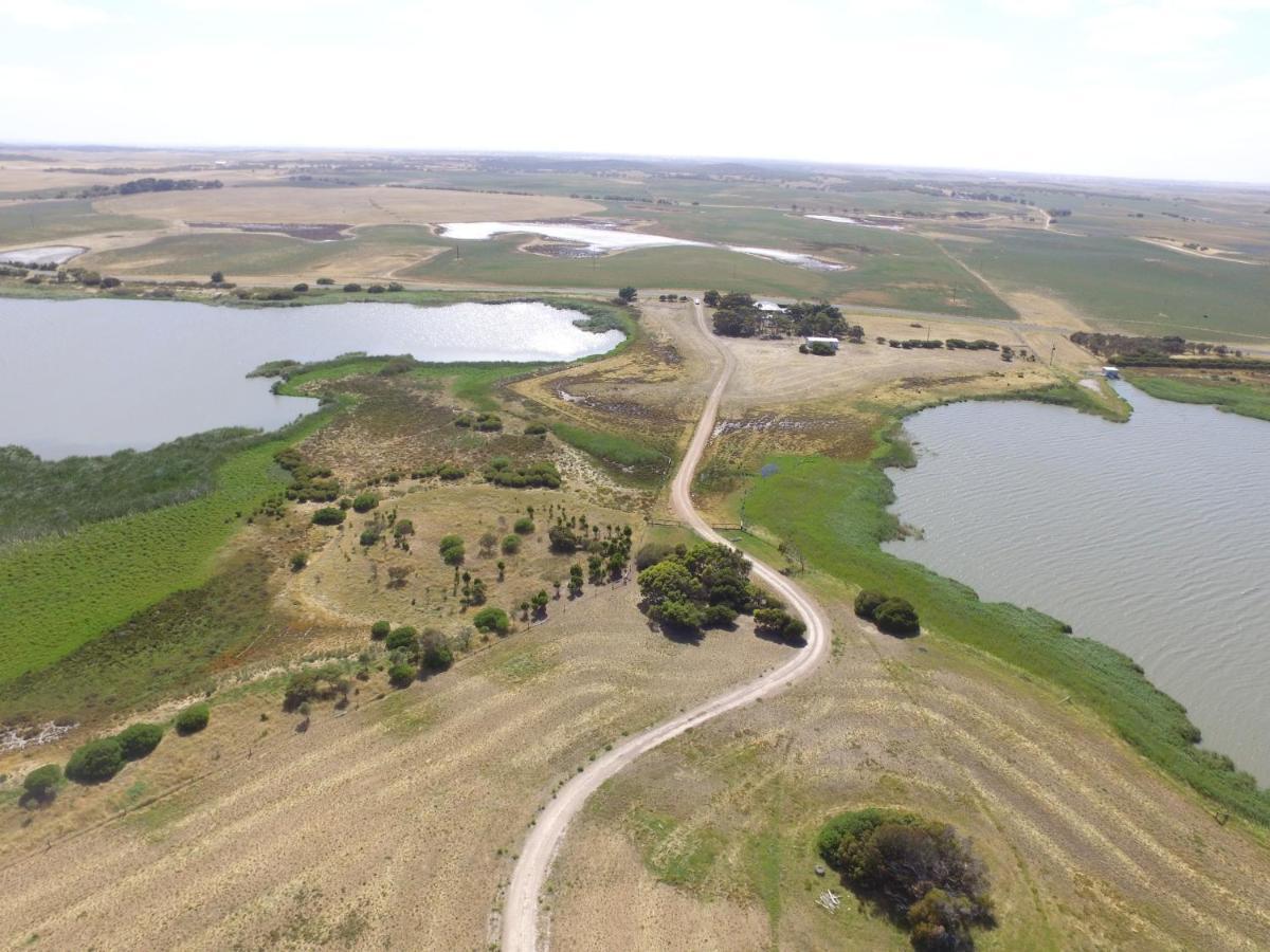 Coorong Island Retreat - Farm Stay At Pet Friendly Property Meningie Eksteriør bilde