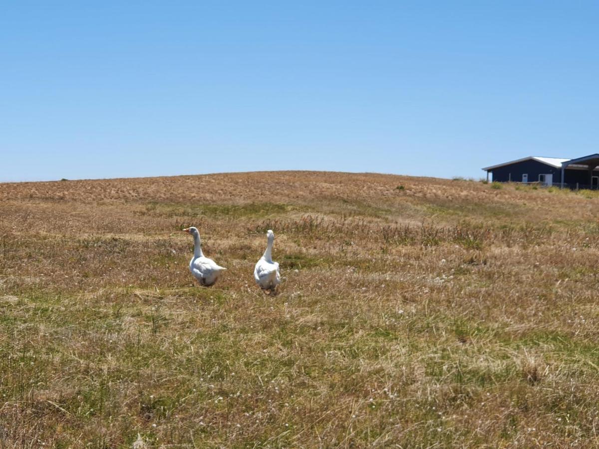Coorong Island Retreat - Farm Stay At Pet Friendly Property Meningie Eksteriør bilde