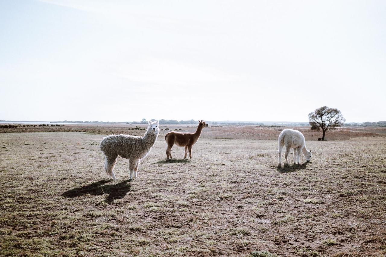 Coorong Island Retreat - Farm Stay At Pet Friendly Property Meningie Eksteriør bilde