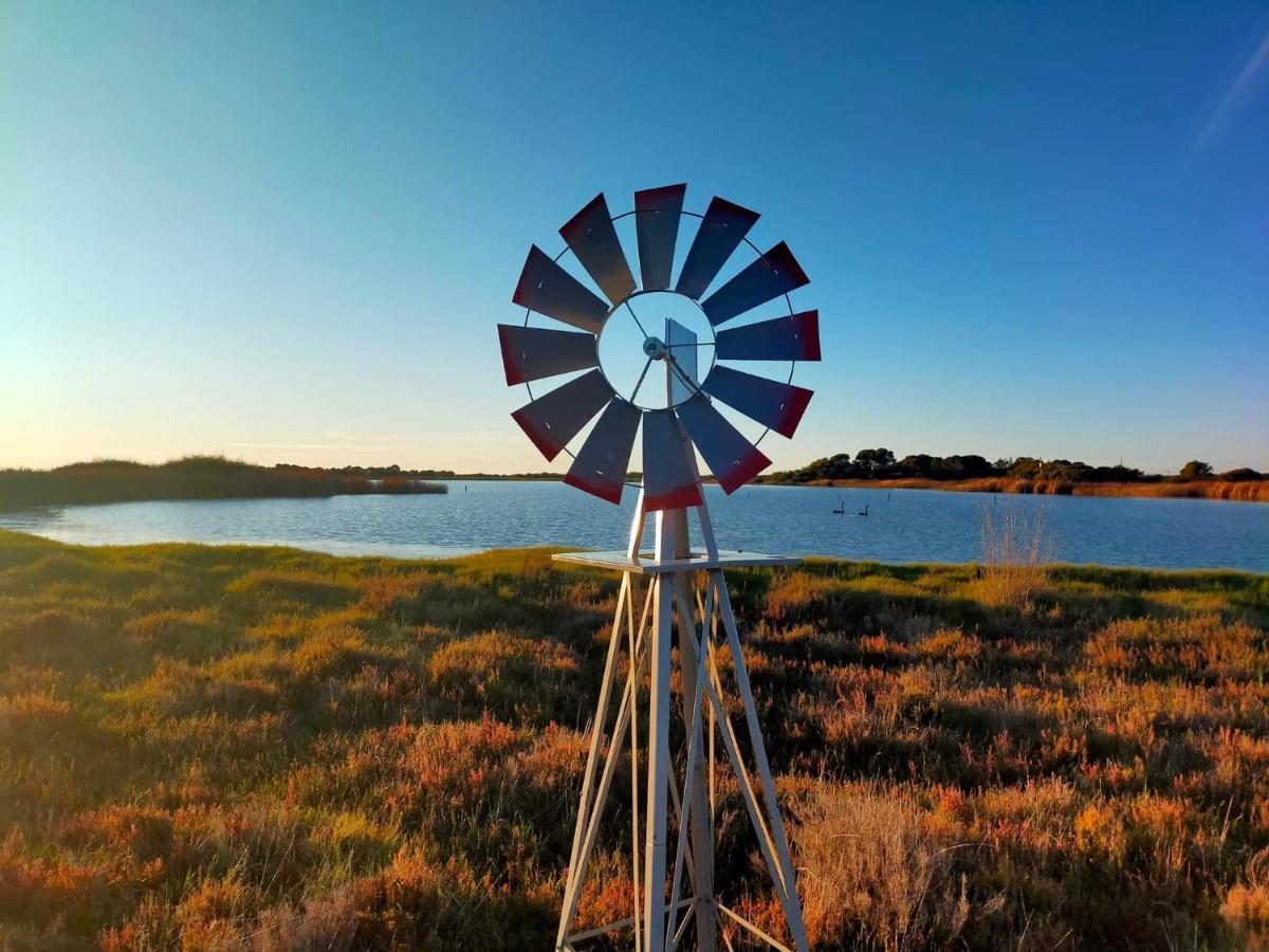 Coorong Island Retreat - Farm Stay At Pet Friendly Property Meningie Eksteriør bilde