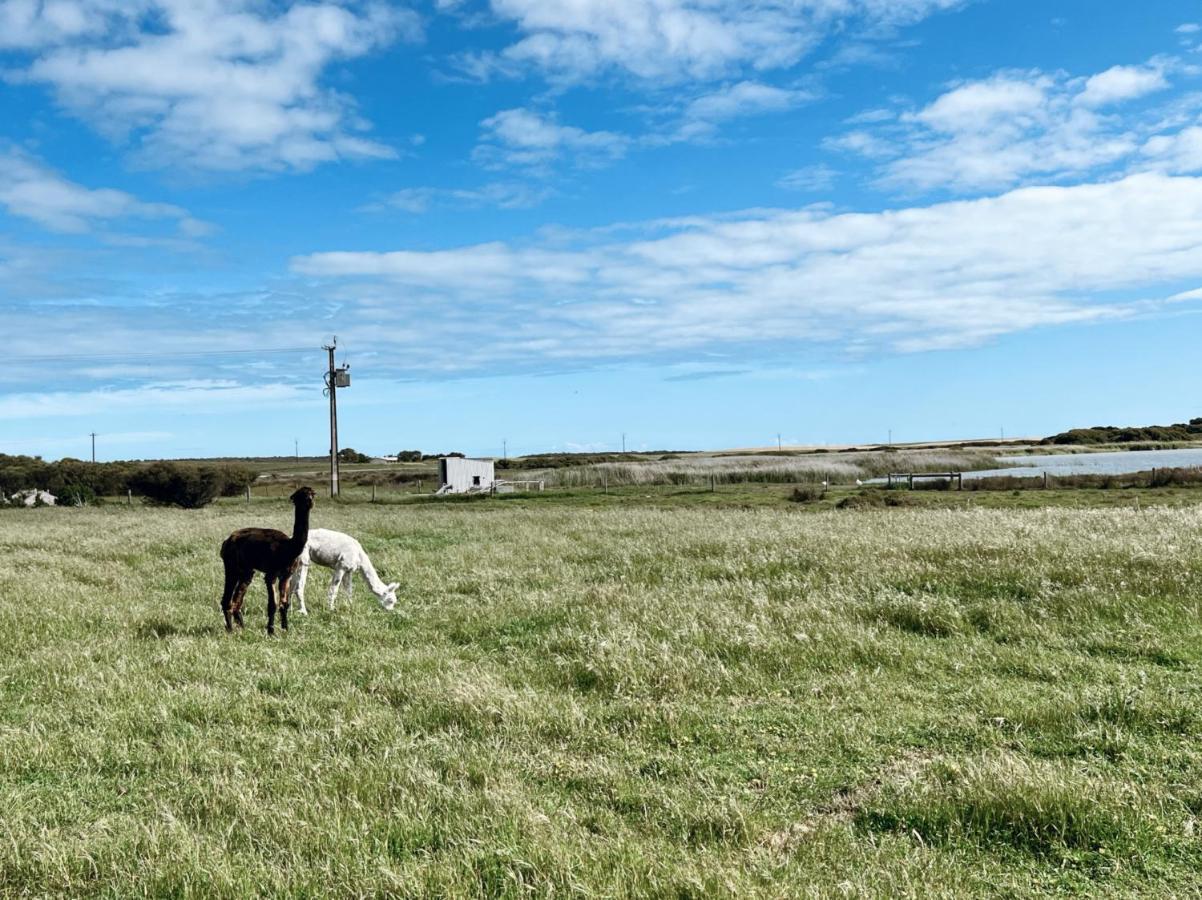 Coorong Island Retreat - Farm Stay At Pet Friendly Property Meningie Eksteriør bilde