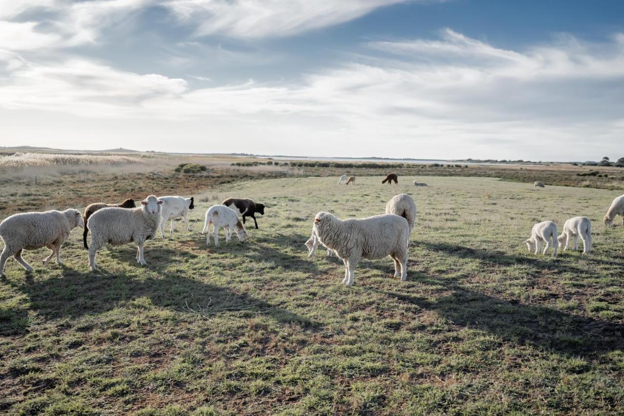 Coorong Island Retreat - Farm Stay At Pet Friendly Property Meningie Eksteriør bilde
