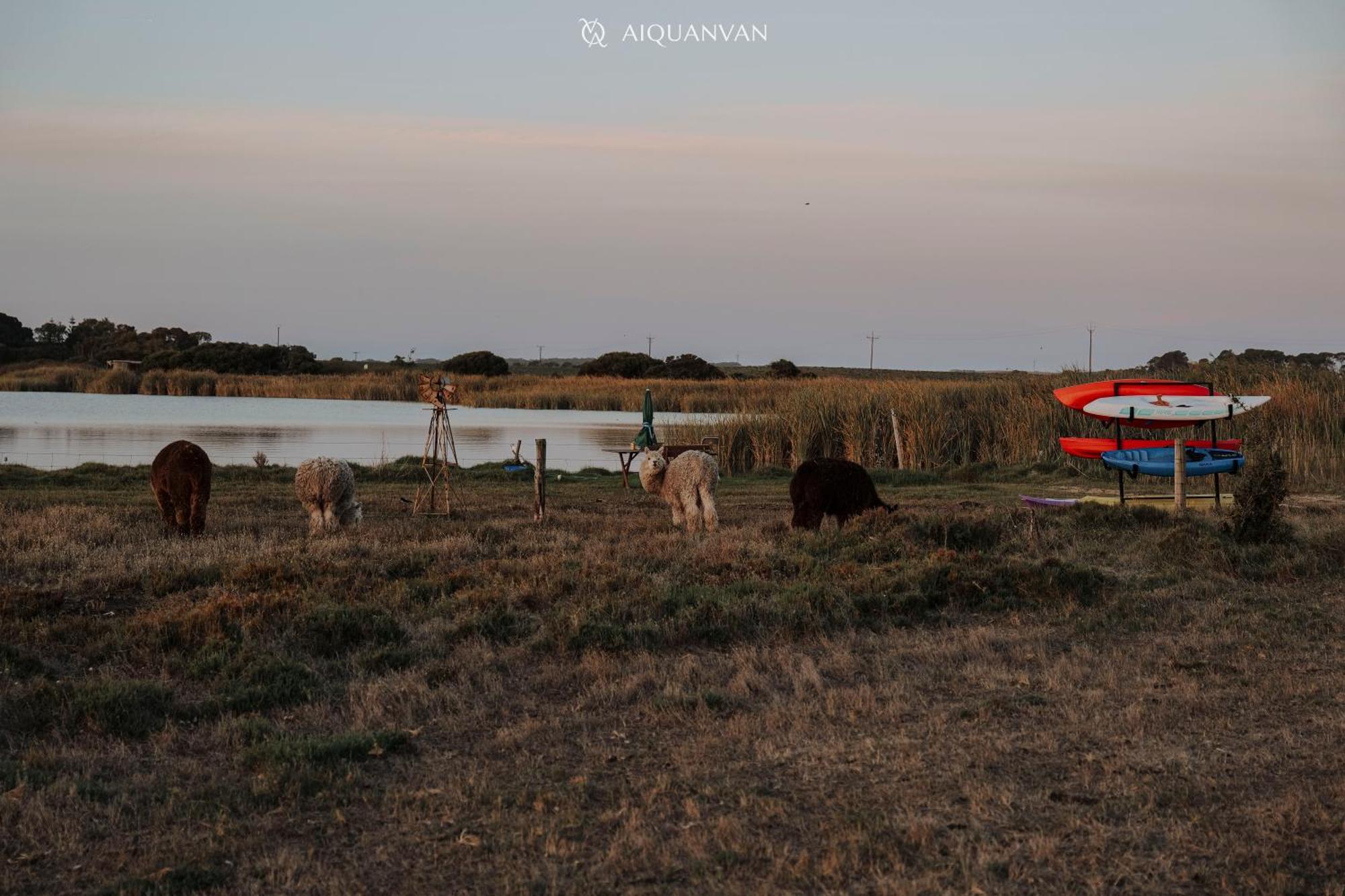 Coorong Island Retreat - Farm Stay At Pet Friendly Property Meningie Eksteriør bilde